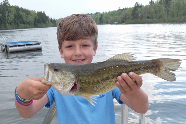 Largemouth Bass caught by Sleeping Fawn Resort Guest near a Park Rapids Minnesota hotel with great fishing